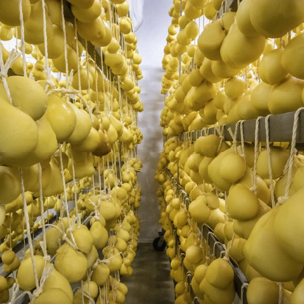 Il Formaggio